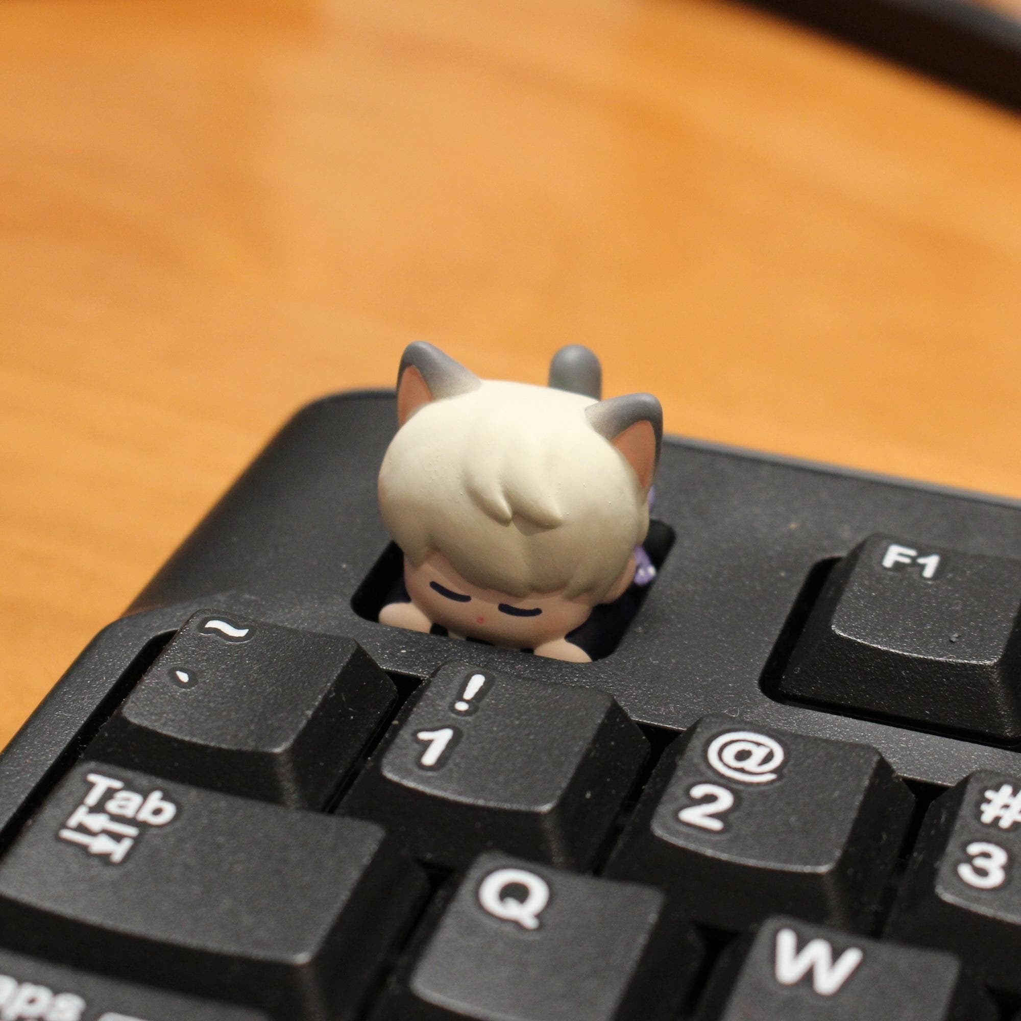 Love and Deepspace Catboy Keycaps Set Rafayel Zayne Xavier Sylus Caleb Cute Anime Resin Keycaps for Mechanical Keyboard LADS Fanmade detail image 9