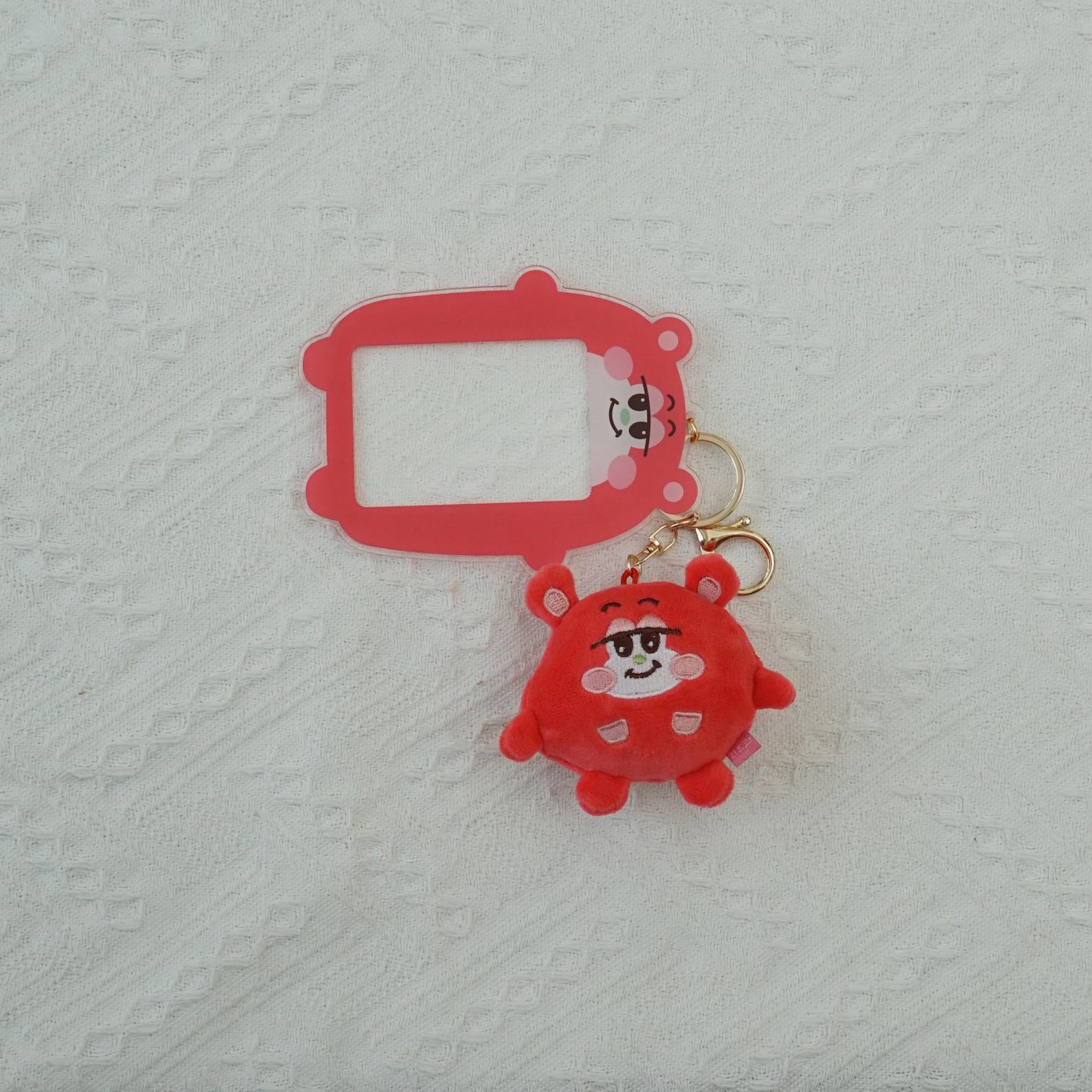 RIIZE Mascot Acrylic Card Holder Set with Plush Charm Fanmade Kpop Merch BRIIZE Gift Custom Photo Insert