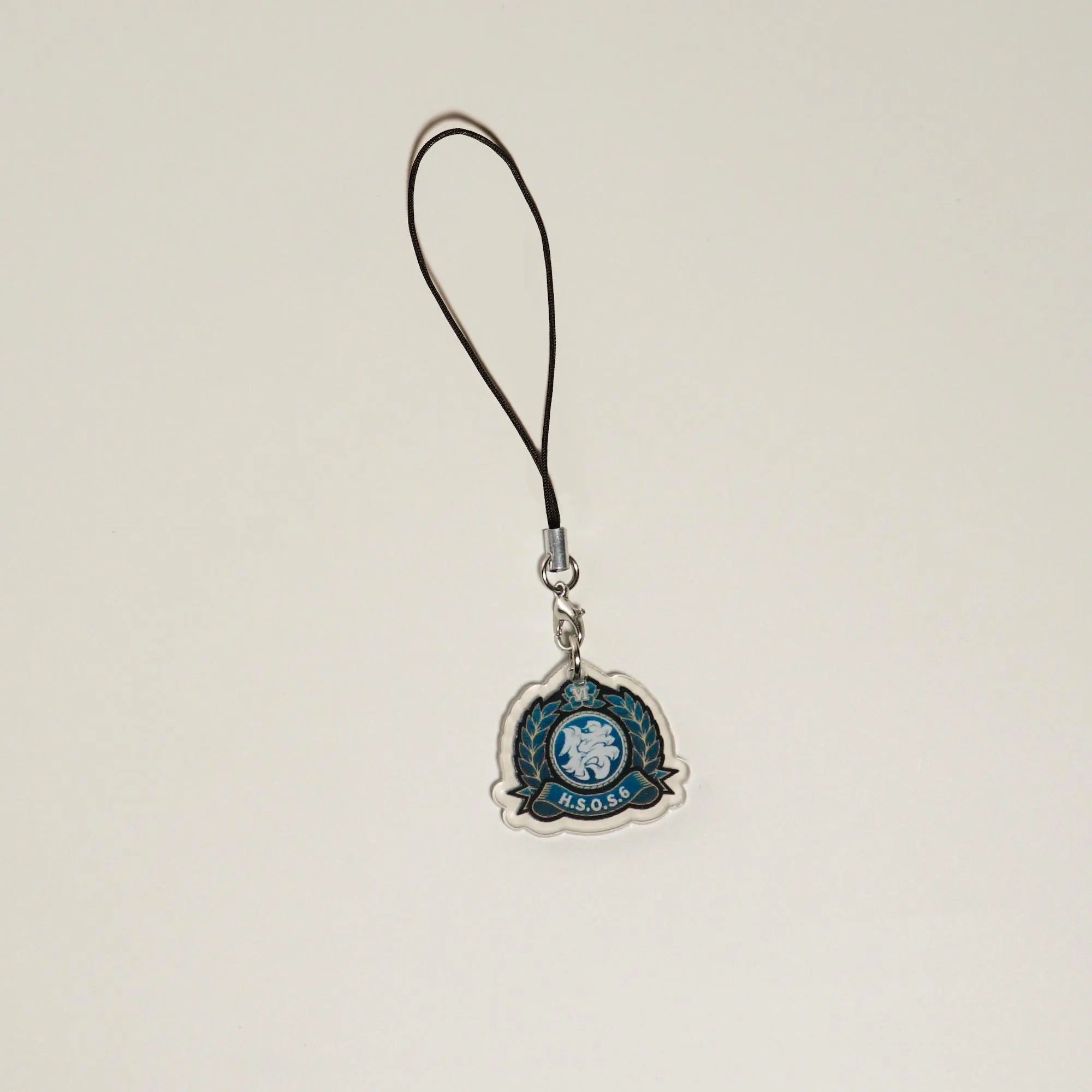 Zenless Zone Zero Acrylic Keychain Set Victoria Housekeeping Co Cunning Hares Section 6 ZZZ Faction Charm Fanmade Gift detail image 10