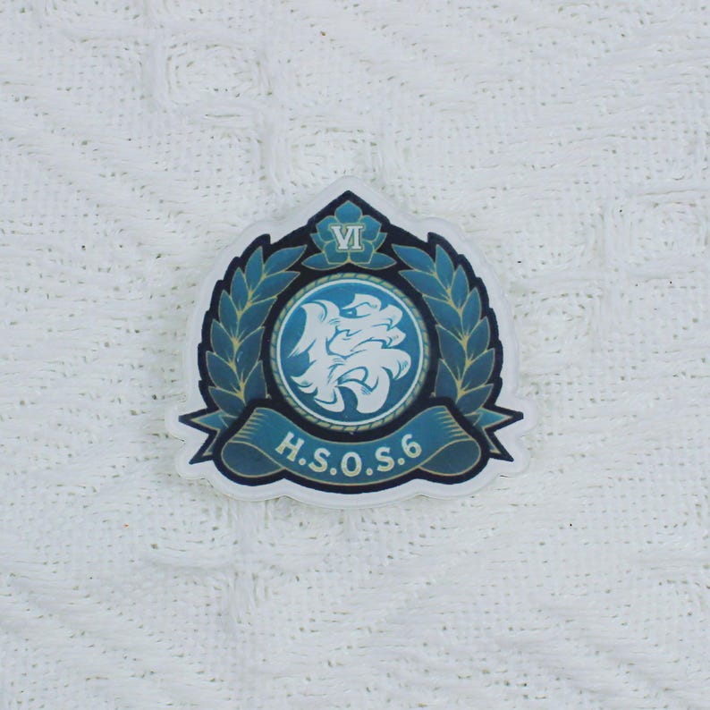 Zenless Zone Zero Faction Badge Set ZZZ Pin New Eridu 6 Factions Cunning Hares Section 6 Fanmade Gift detail image 5